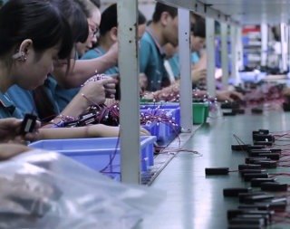 Electronic Assembly